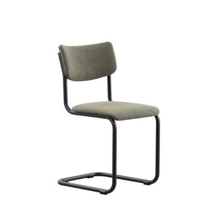 De Purmer Zwart | Turtle